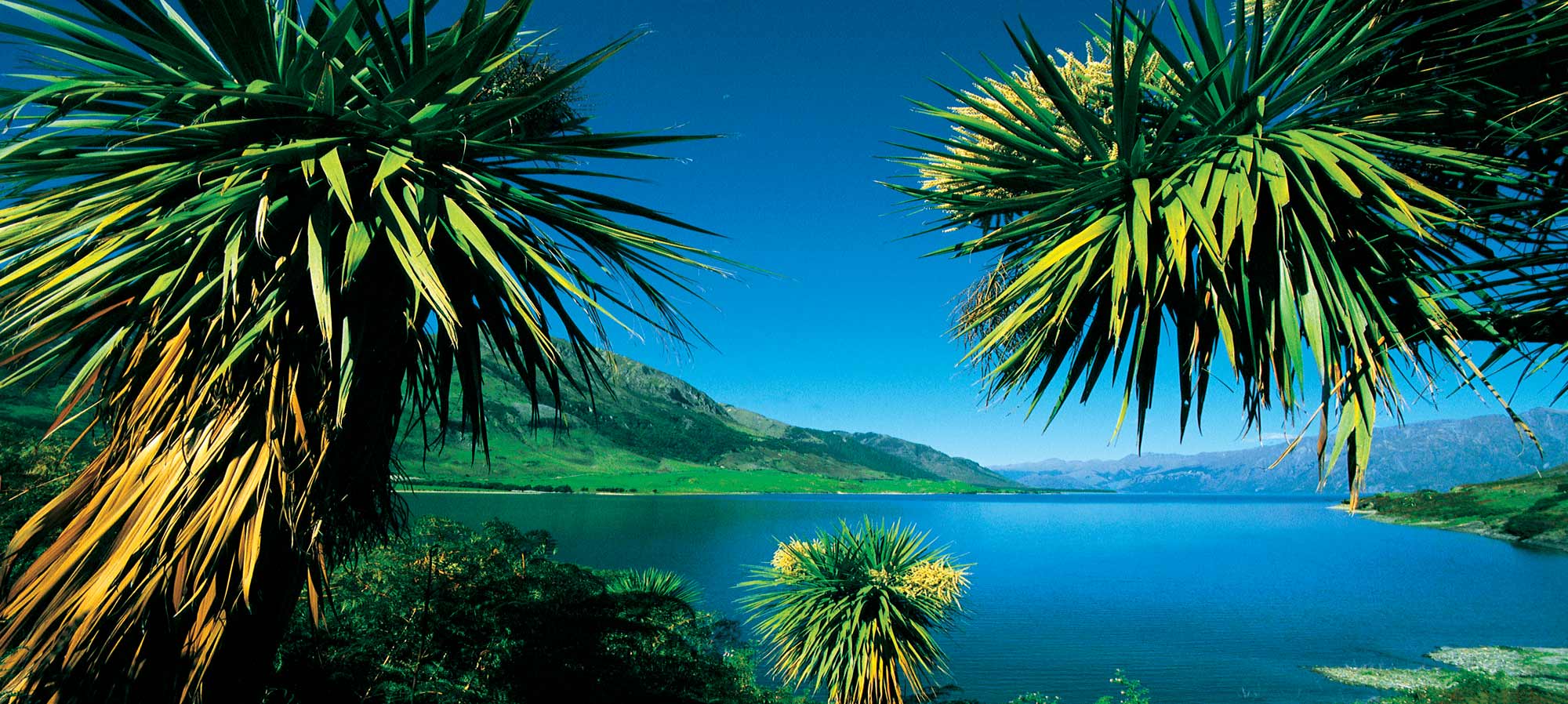 NZ-Hawea-Lake