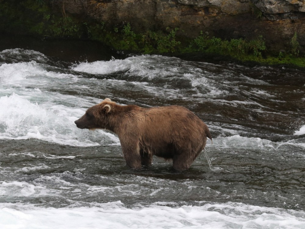 ALASKA 2017-300