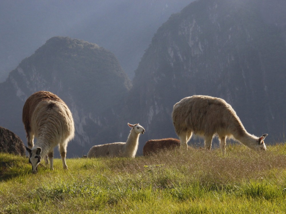 PERU, BOLIVIE. 013