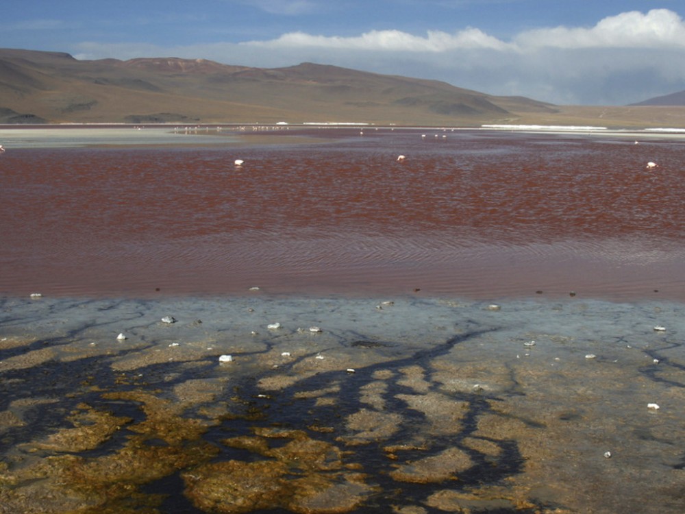 PERU, BOLIVIE. 083