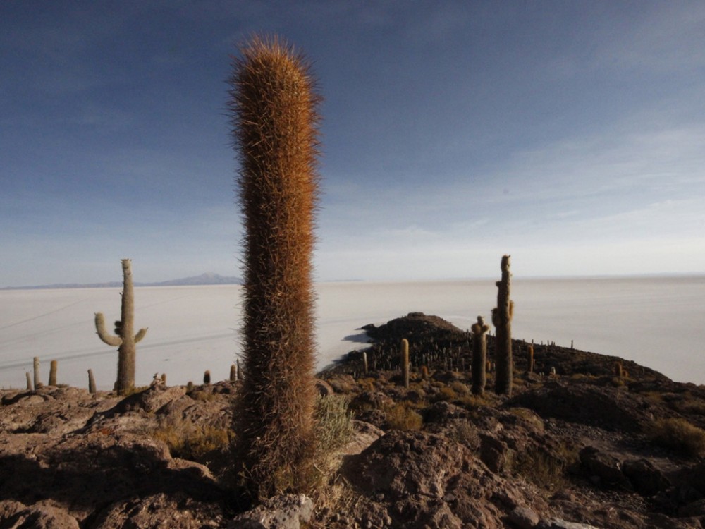 PERU, BOLIVIE. 100