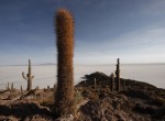 PERU, BOLIVIE. 100