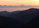 ALCAUSA-860